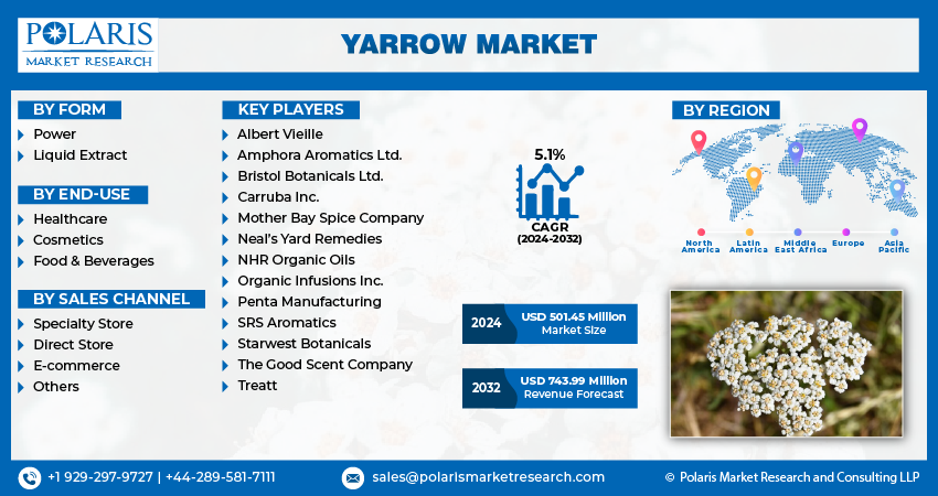  Yarrow Market Share, Size